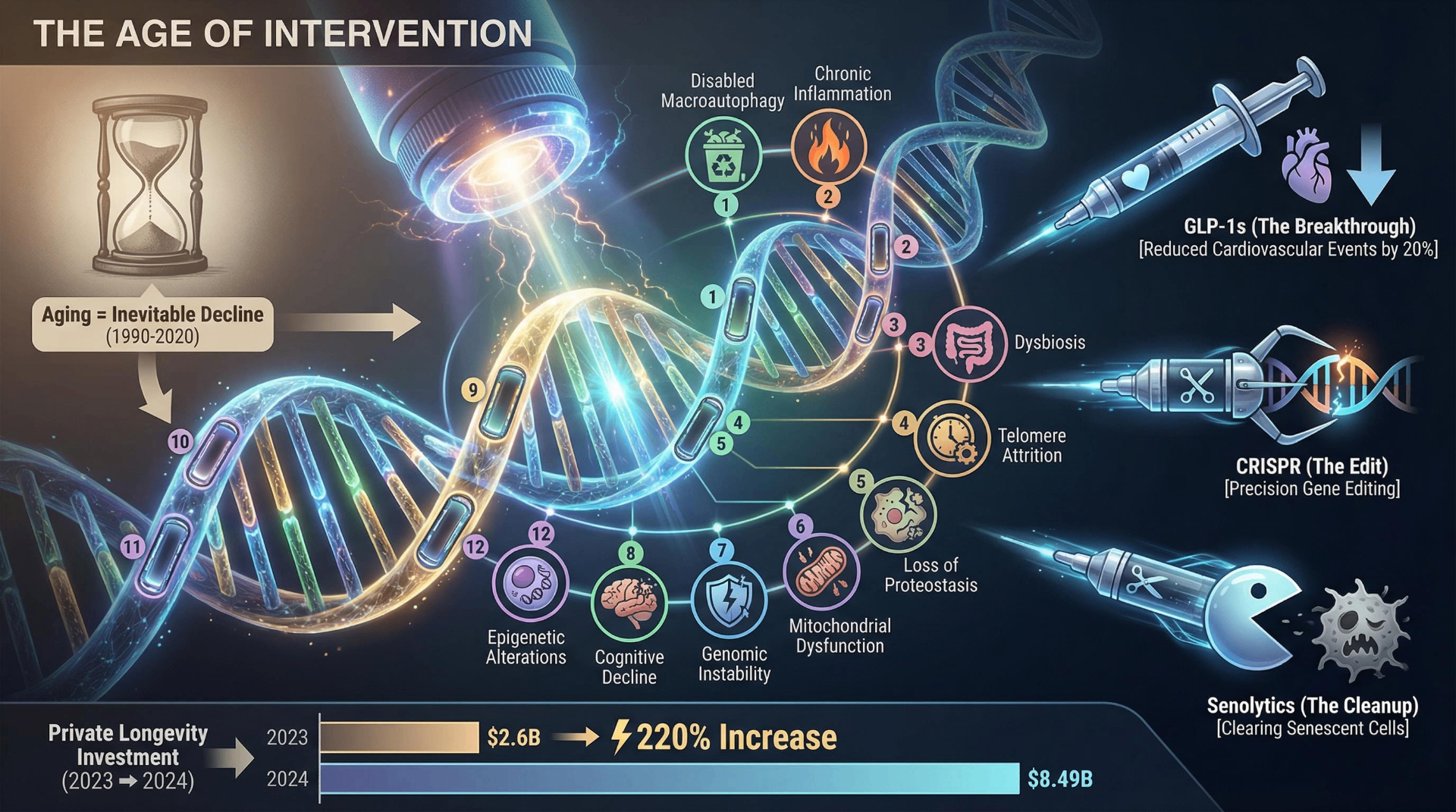 The Age of Intervention infographic showing the 12 hallmarks of aging mapped onto a DNA helix, with GLP-1s, CRISPR, and senolytics as breakthrough interventions, plus private longevity investment surging 220% from $2.6B to $8.49B between 2023 and 2024